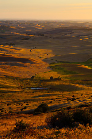 Steptoe Butte, Palouse, Washington